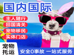 丹东浪头空运代理国际宠物托运 【国